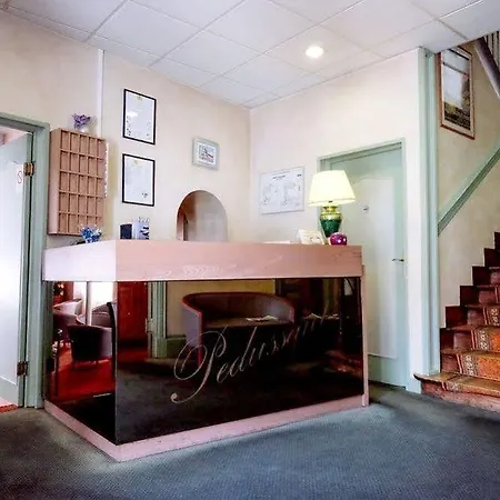 Hotel Pedussaut