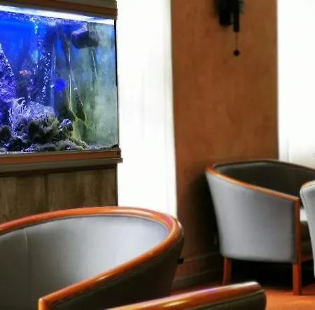 Pedussaut Saint-Gaudens (Haute-Garonne)